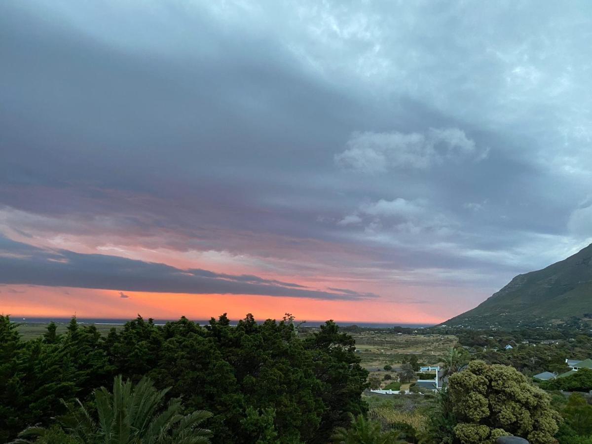 Wild Rose Country Lodge Noordhoek Dış mekan fotoğraf