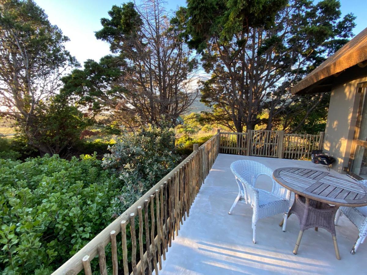 Wild Rose Country Lodge Noordhoek Dış mekan fotoğraf
