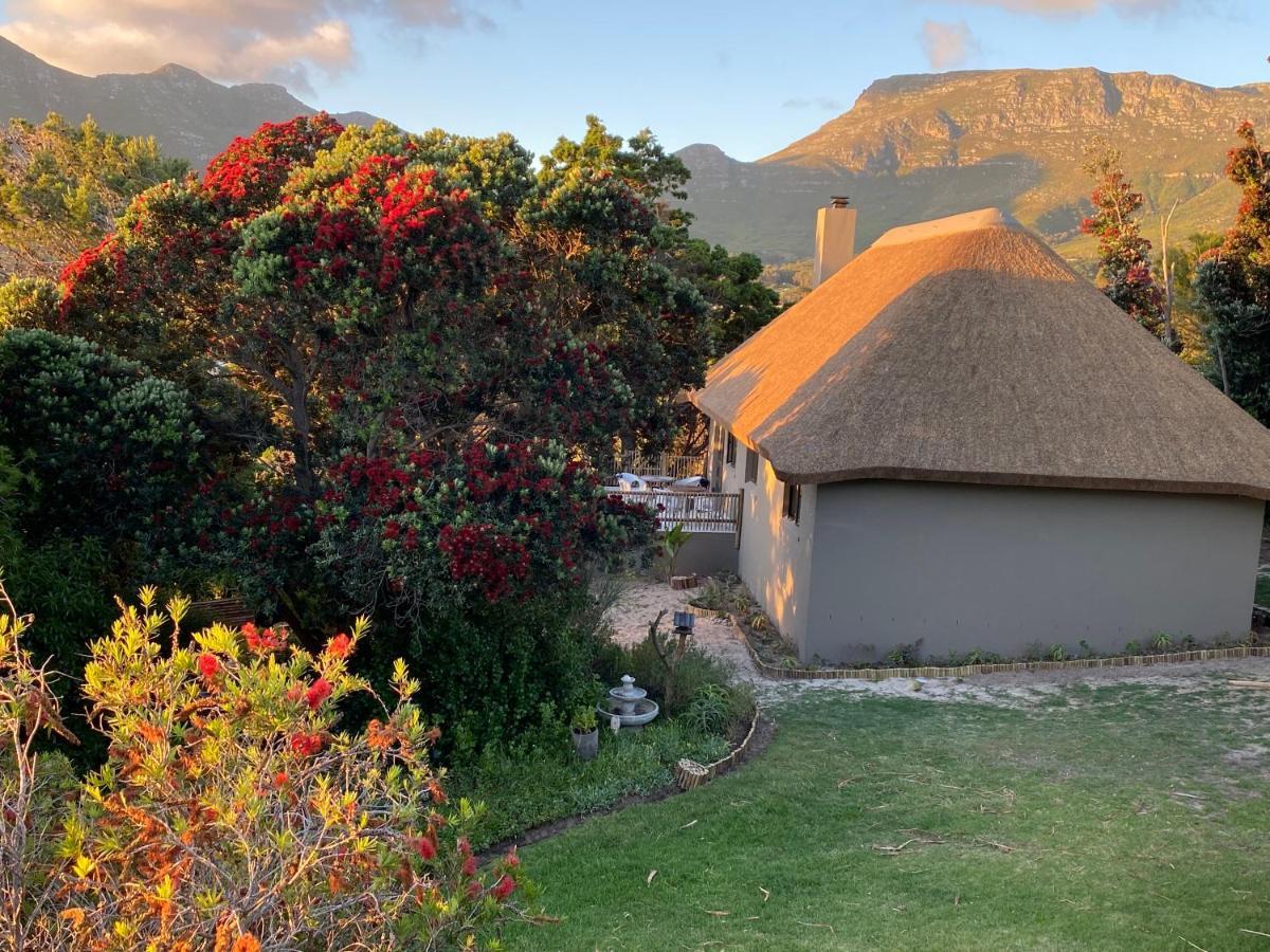 Wild Rose Country Lodge Noordhoek Dış mekan fotoğraf